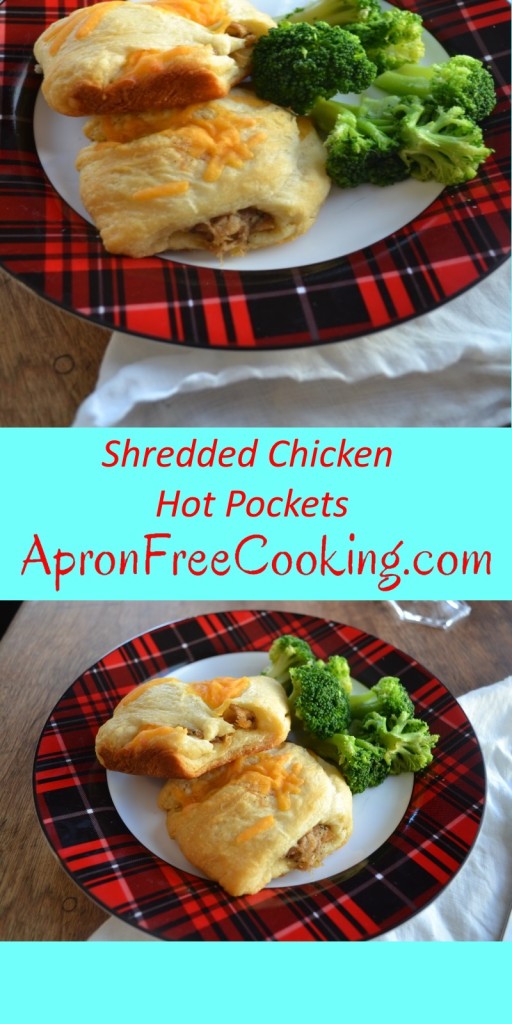 Homemade Shredded Chicken Hot Pockets from ApronFreeCooking.com
