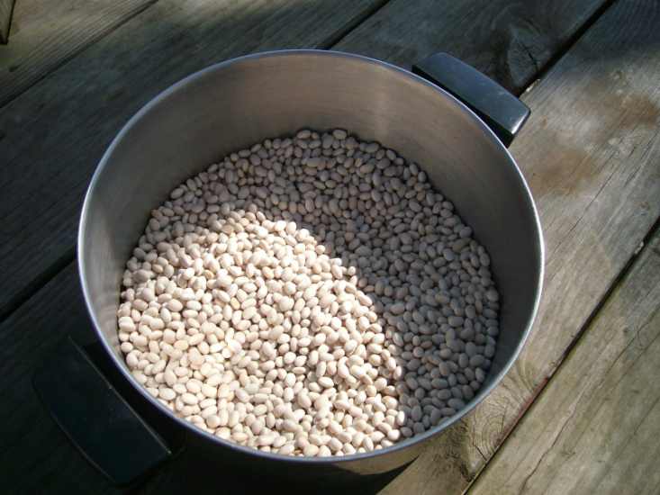Two pounds of dried navy beans for Irish Parliament Bean Soup from www.ApronFreeCooking.com