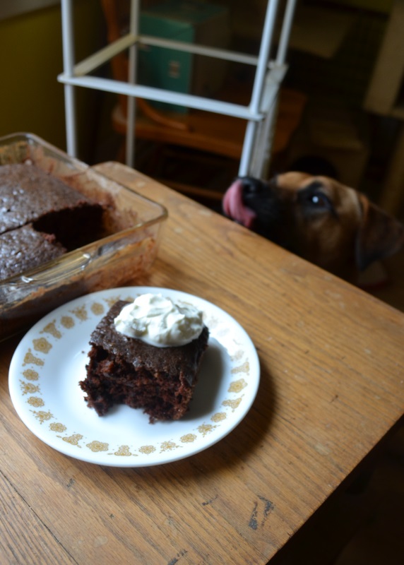 Laura Helping photo Wacky Cake from www.ApronFreeCooking.com