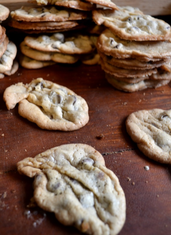 Chocolate Chip Cookies from www.ApronFreeCooking.com