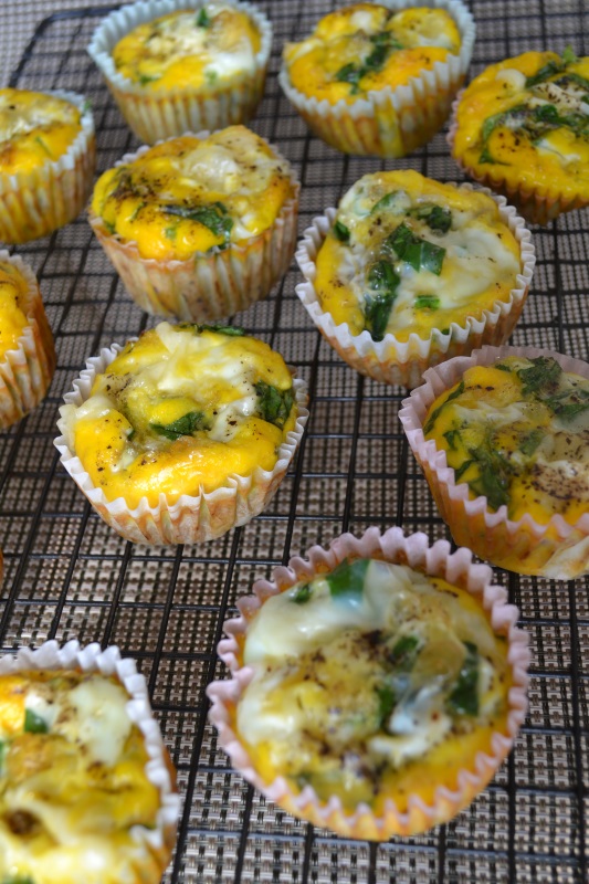 Personal Quiches 