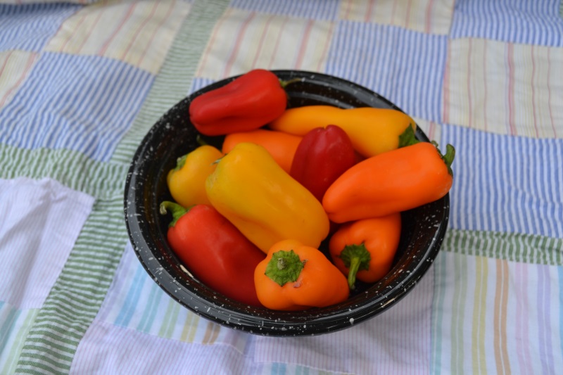 Garden Bounty Salad peppers