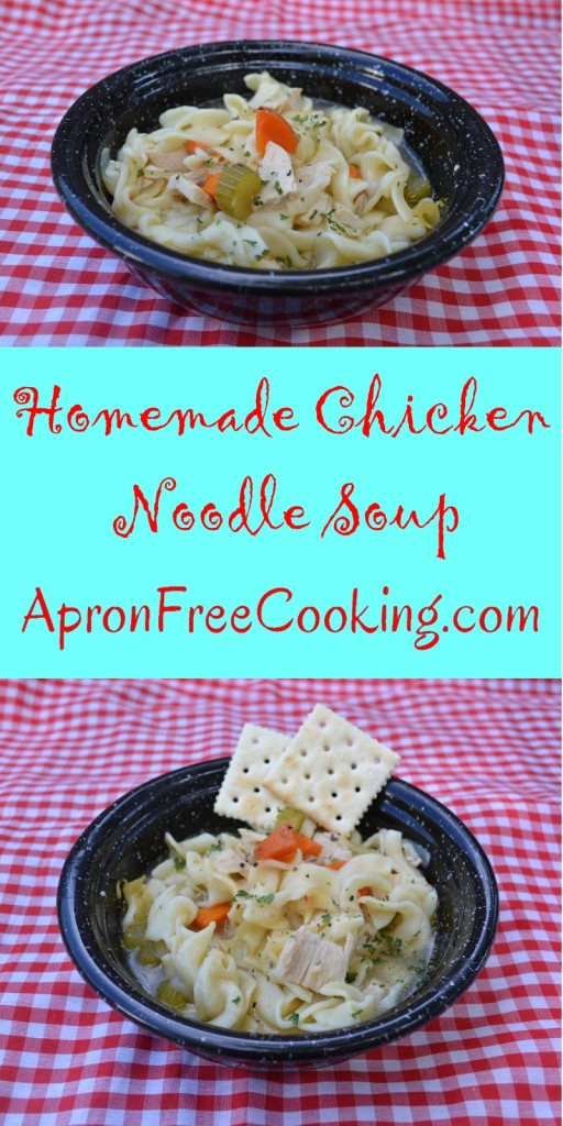 Homemade Chicken Noodle Soup from www.ApronFreeCooking.com