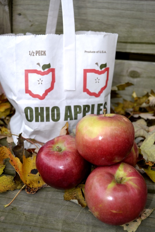one half peck white bag of Ohio grown apples with three red and gold apples surrounding by oak leaves. Apples were used to make Harvest Spiced Baked Apples from www.ApronFreeCooking.com