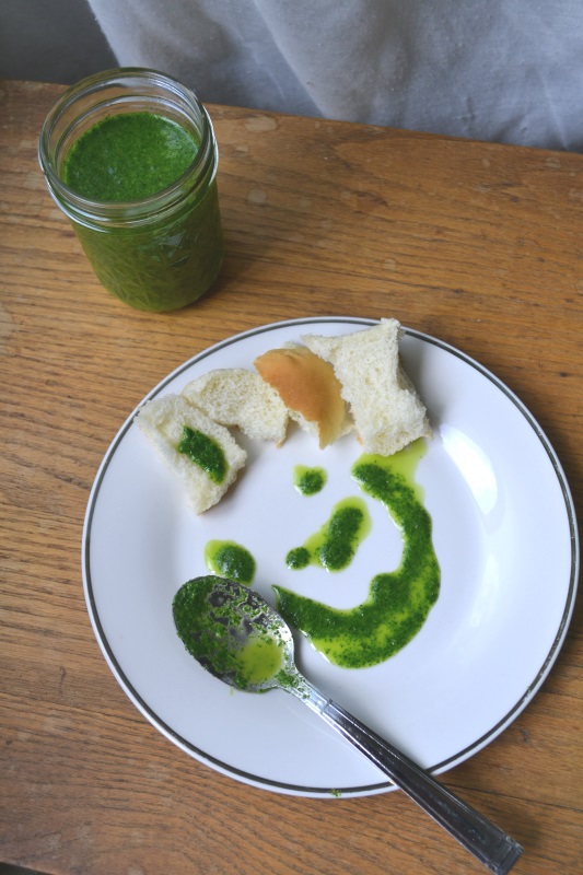 Garden fresh basil oil as a dipping oil with bread on a white plate. from www.ApronFreeCooking.com