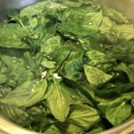 Basil Oil Step 1 in boiling water