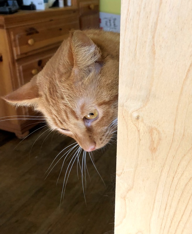 Mason Jar Bean Soup Helper Hobbes