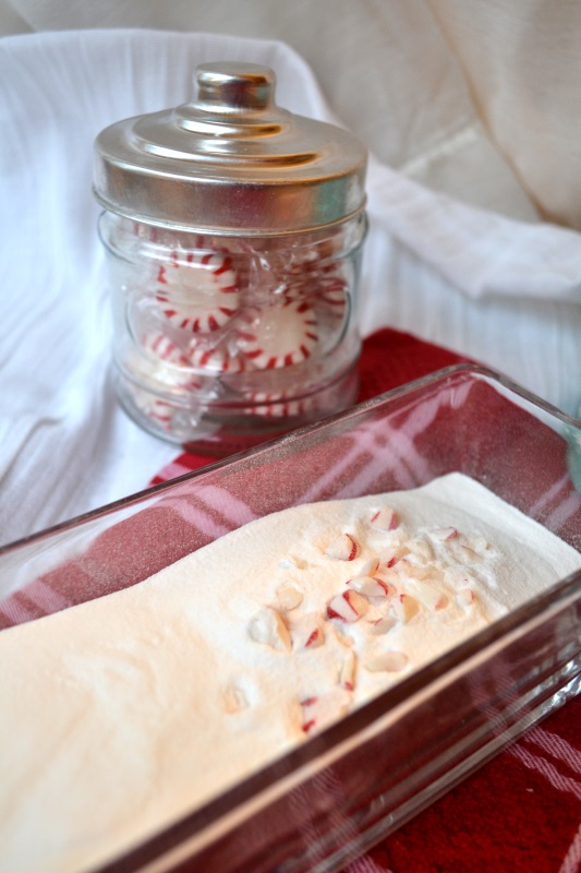 Vanilla Peppermint Creamer in glass dish with peppermints in background from www.ApronFreeCooking.com