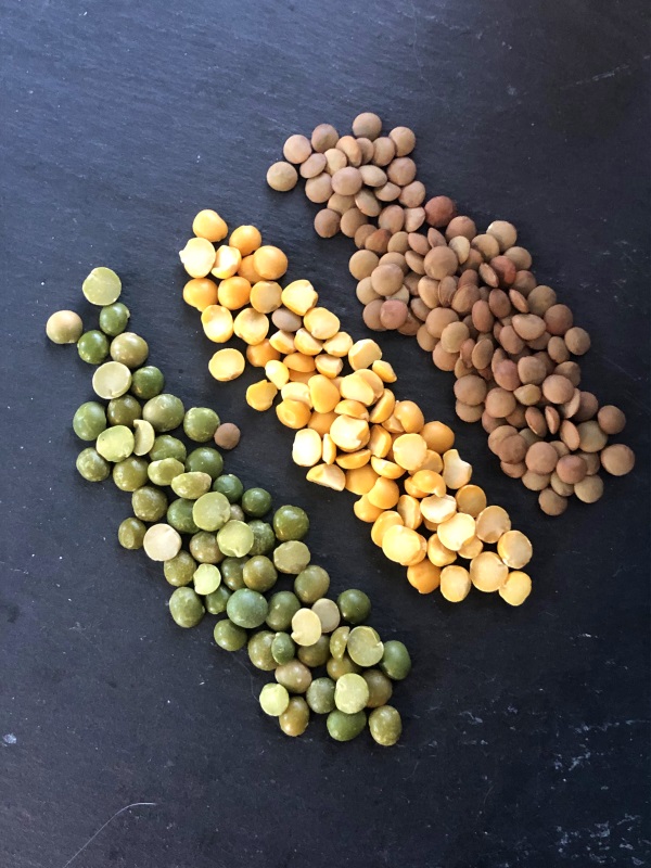 Confetti Bean Salad Dried Beans in three rows, one brown, on yellow, one green on dark background from www.ApronFreeCooking.com