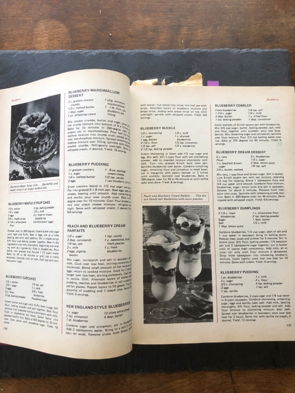 page 137 of Encyclopedia of American Cooking with recipe for blueberry buckle 